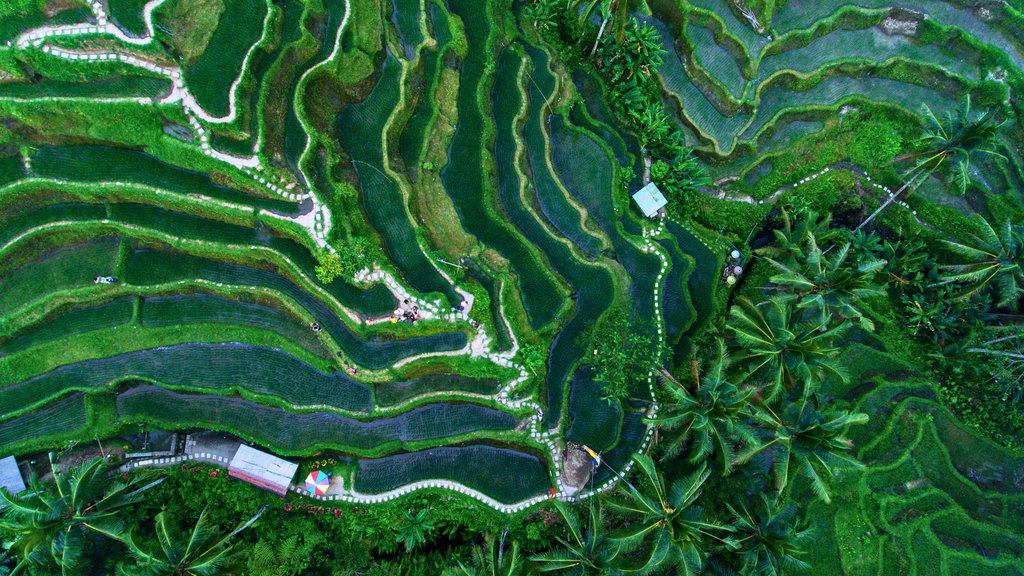 Instagrammable Bali 1