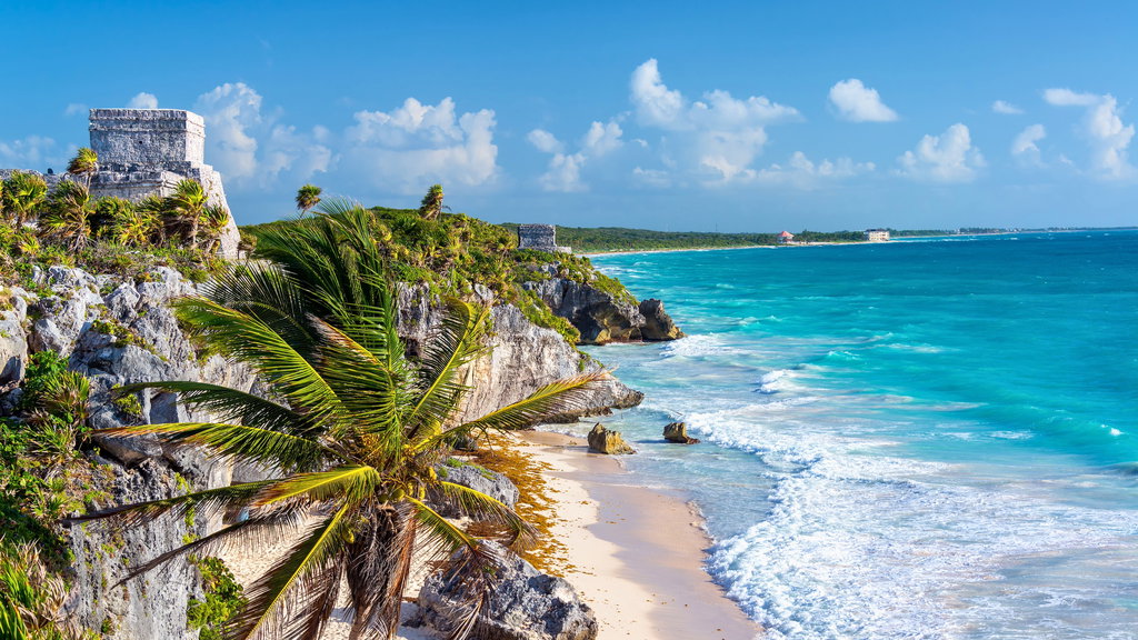 Insider's Guide To Tulum 1