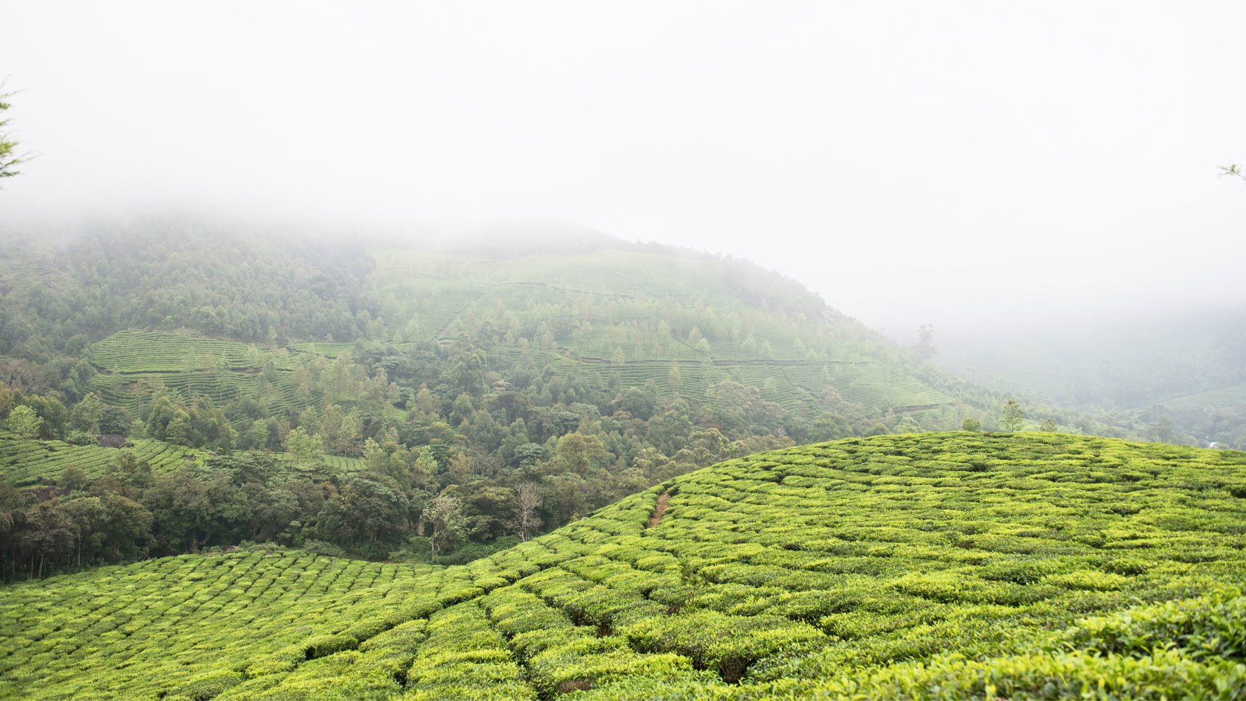 Backpacking In South India