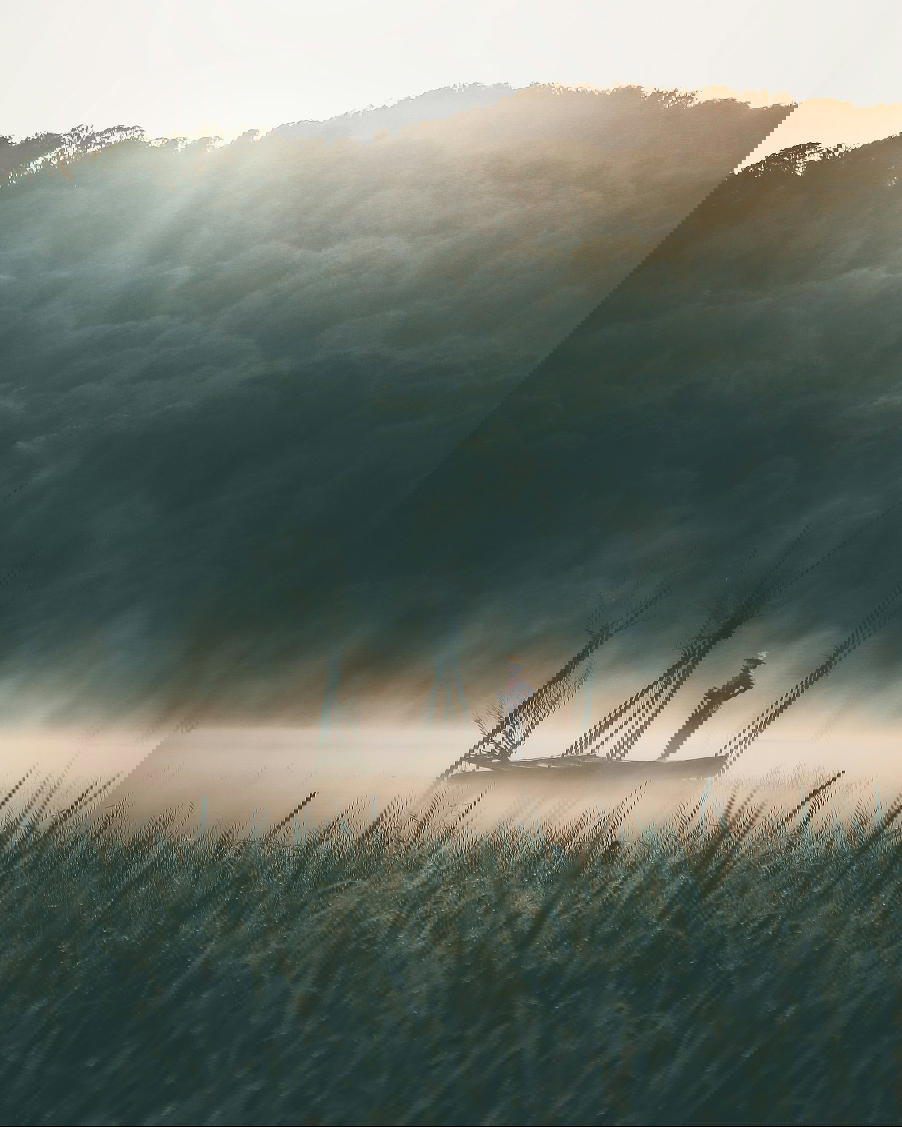 Bali Eco-Travel Guide