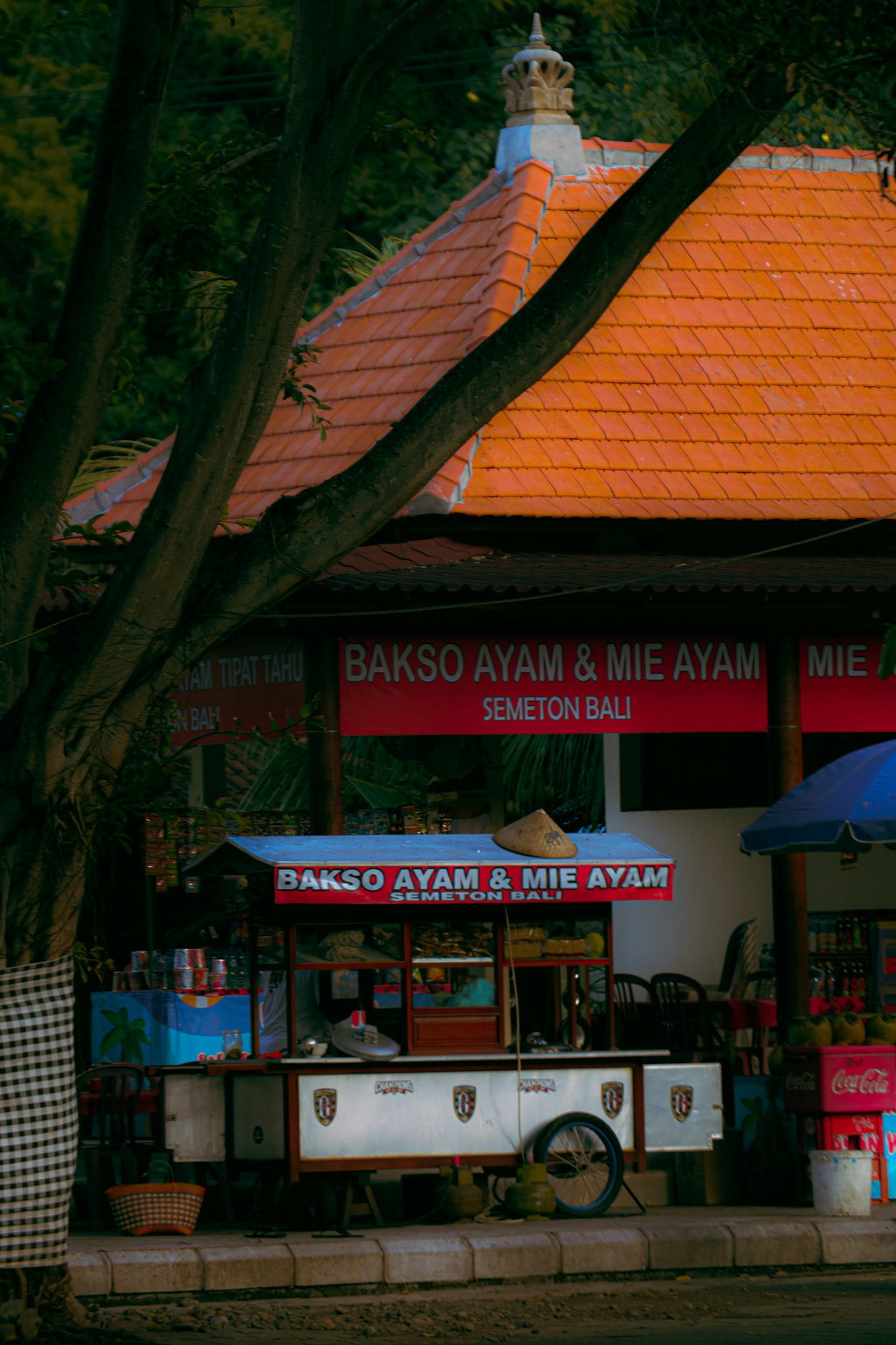 Bali Eco-Travel Guide 1