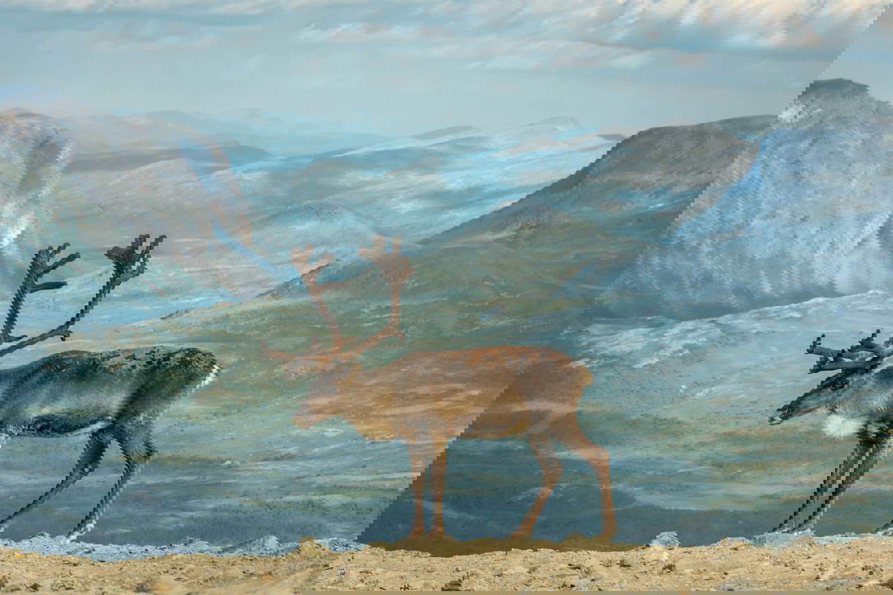 Parc National De Jotunheimen