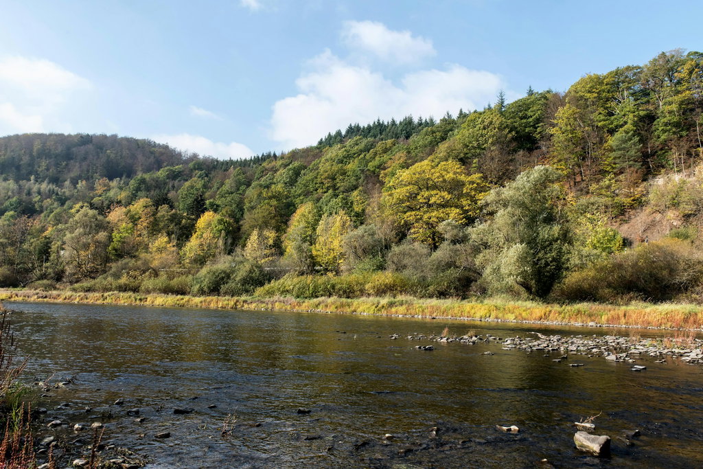 Camping At The Edersee 1