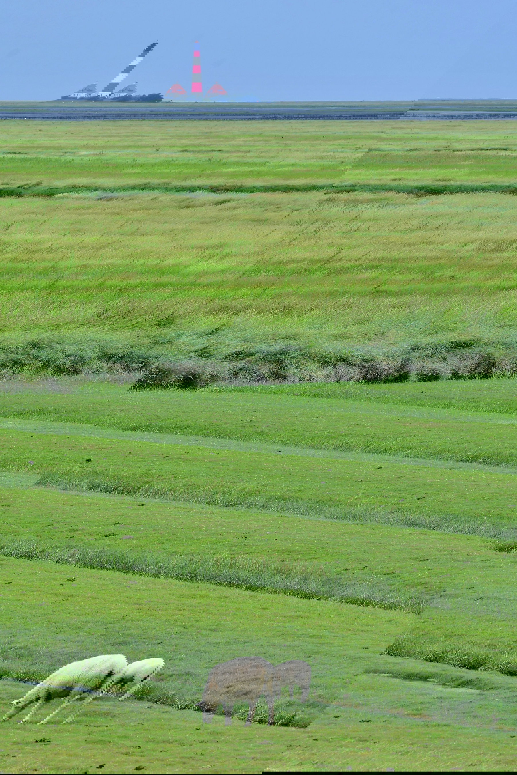 Camping In Northern Germany