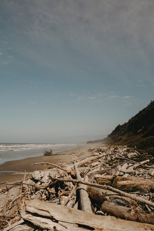Olympic Peninsula Rundreise 5