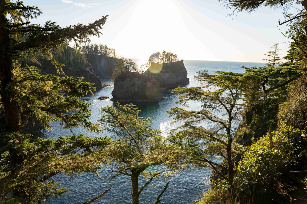 Olympic Peninsula Rundreise 1