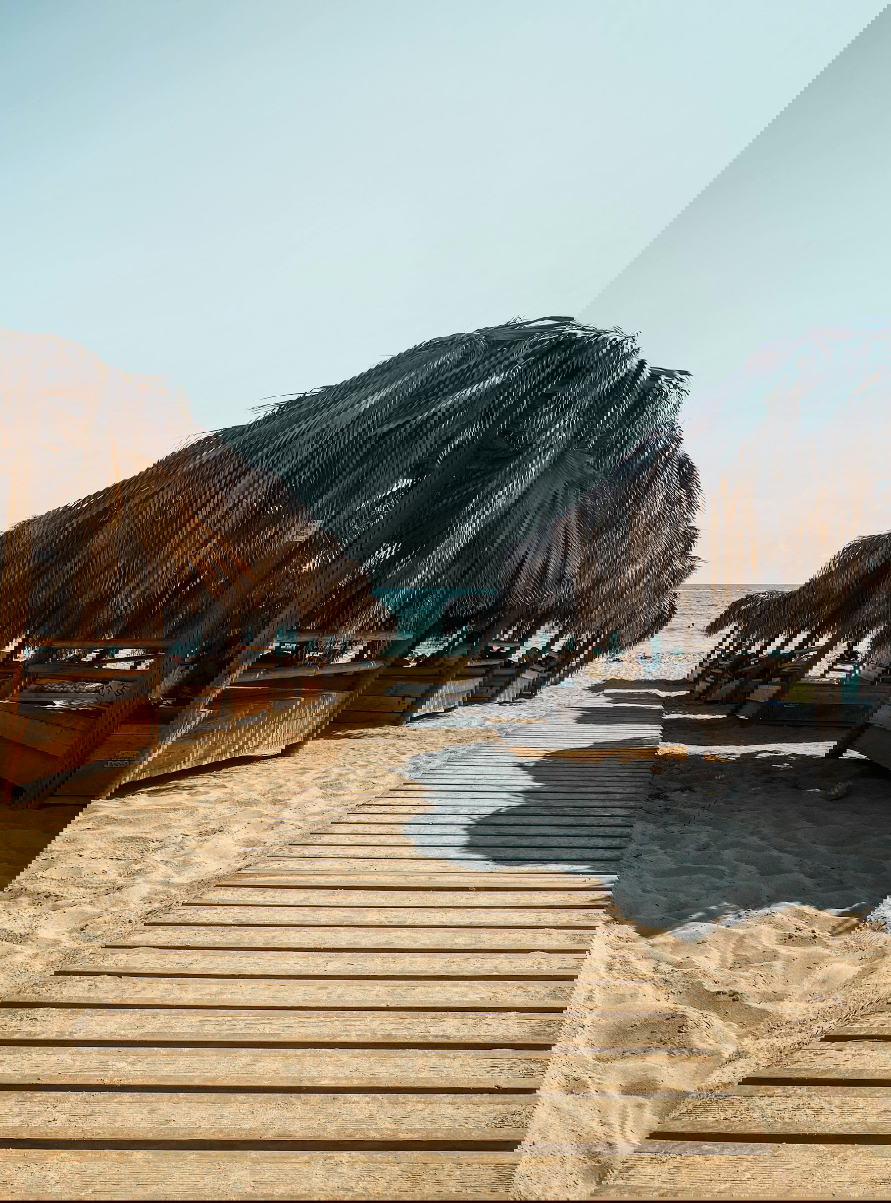 Party Trip To Ayia Napa