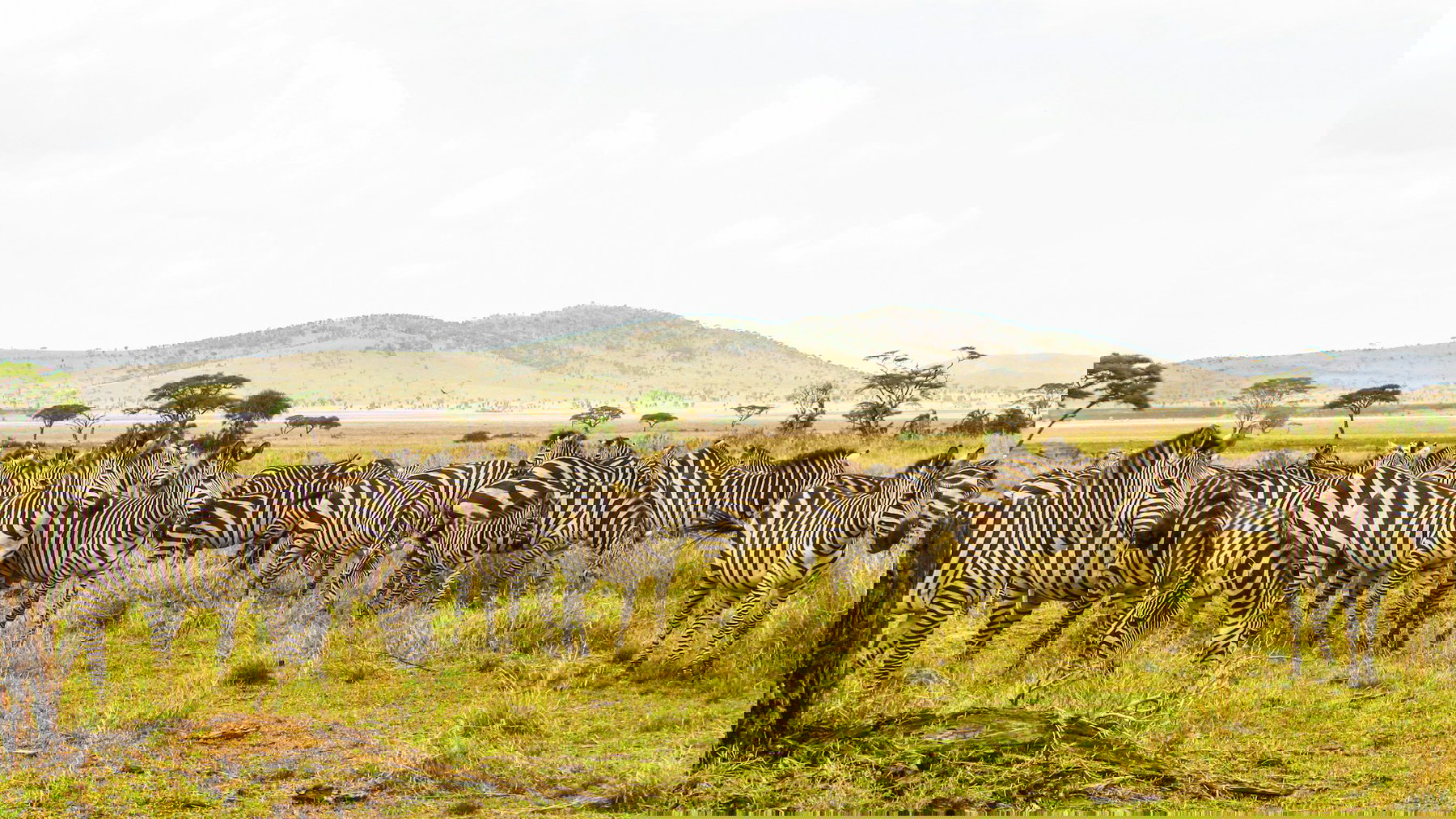 Serengeti National Park