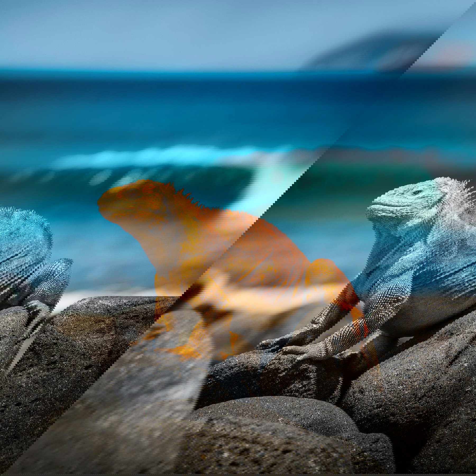 Galápagos National Park