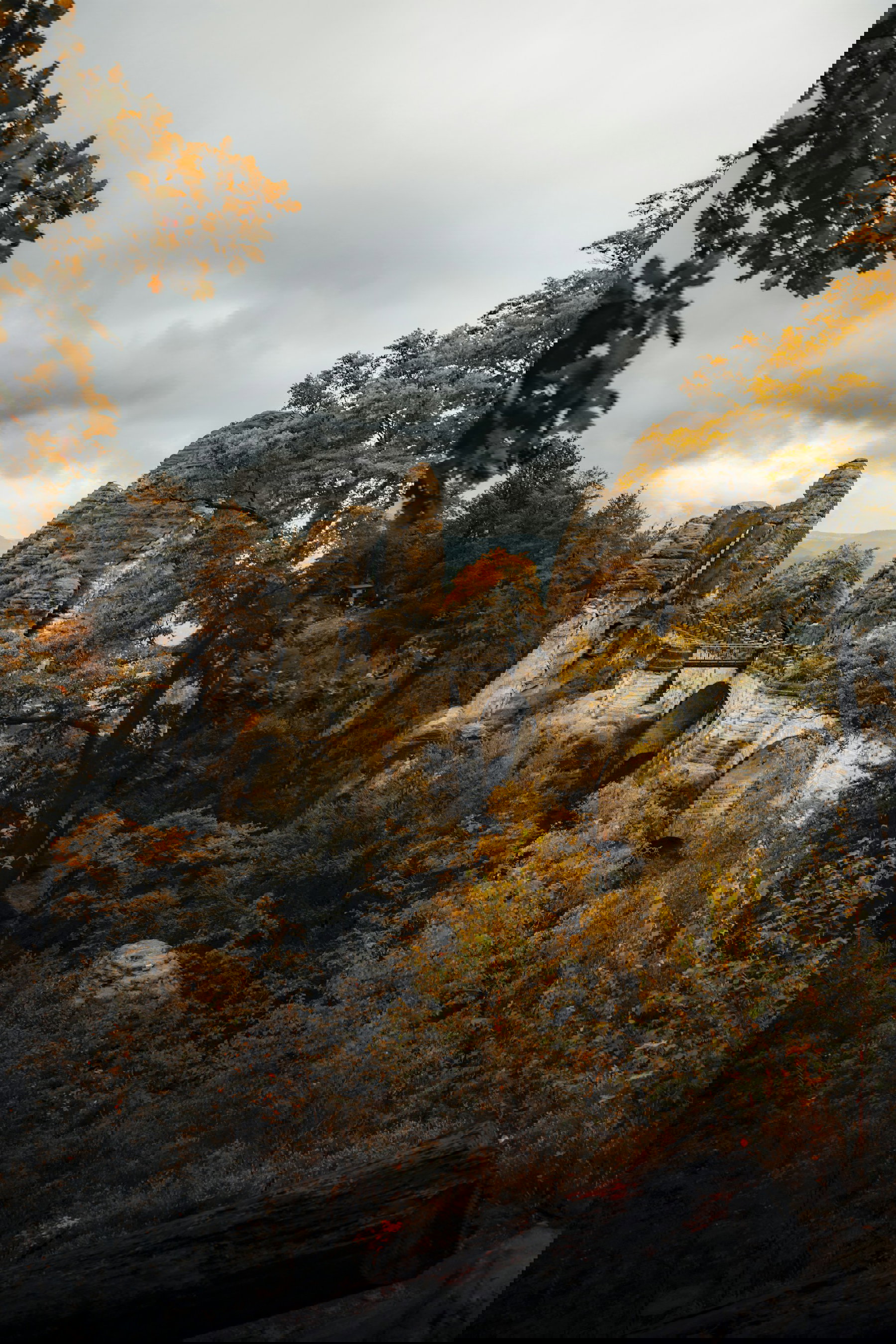 Saxon Switzerland National Park