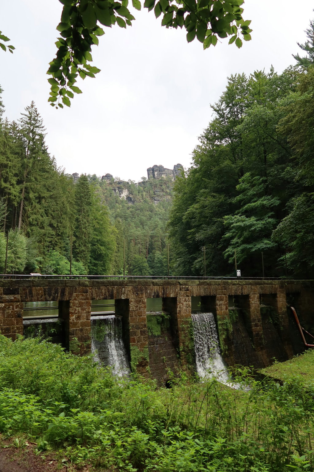 Saxon Switzerland National Park 1