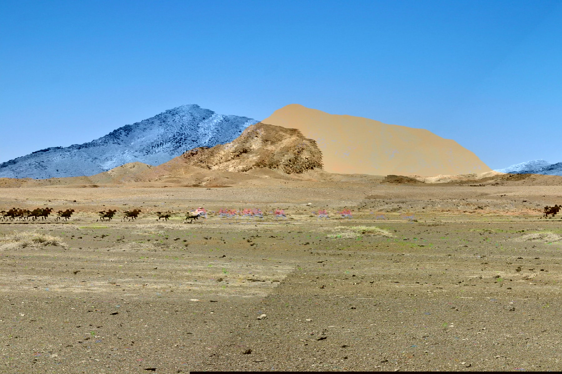 Gobi Gurwan Saichan National Park