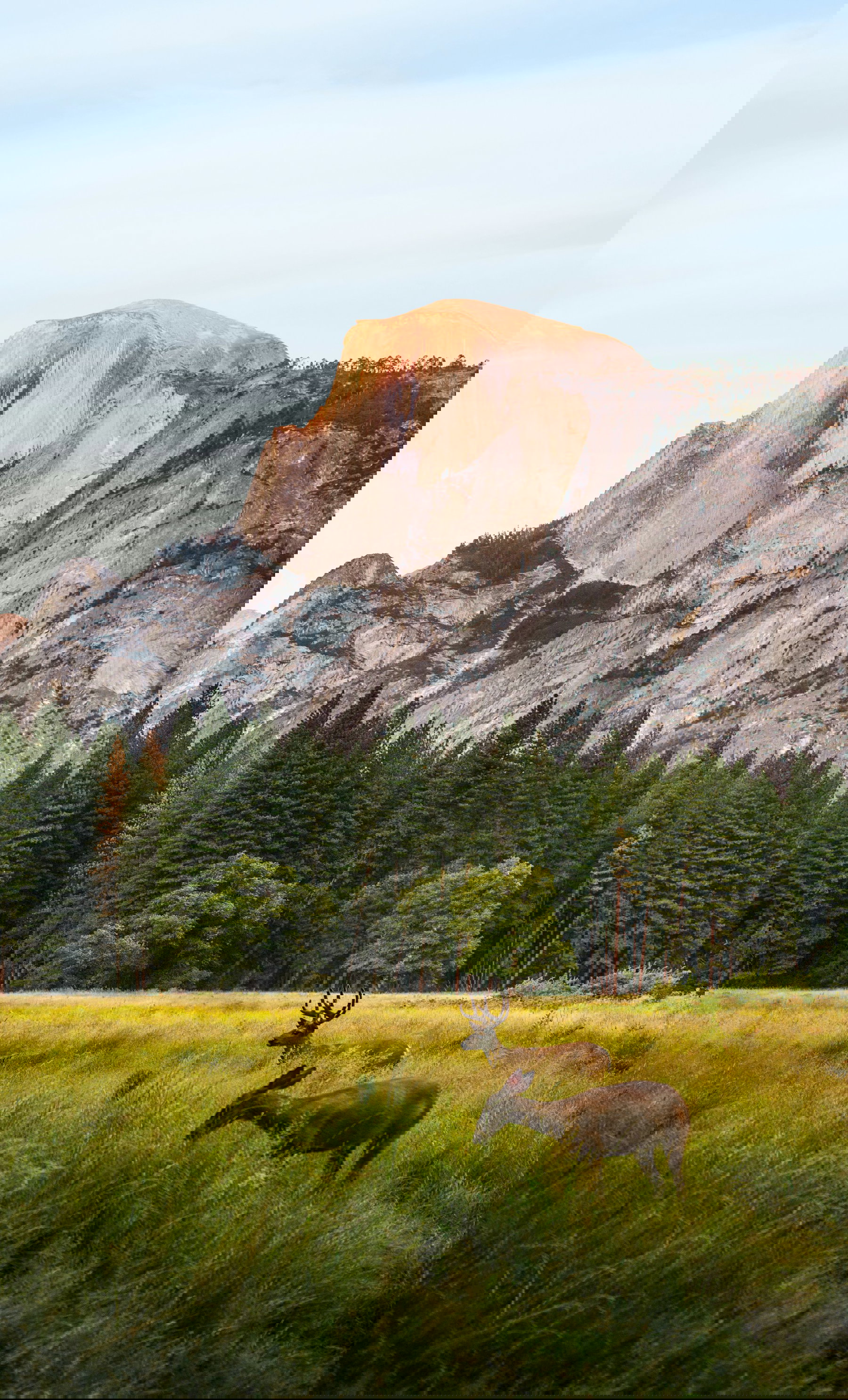 Parc National De Yosemite