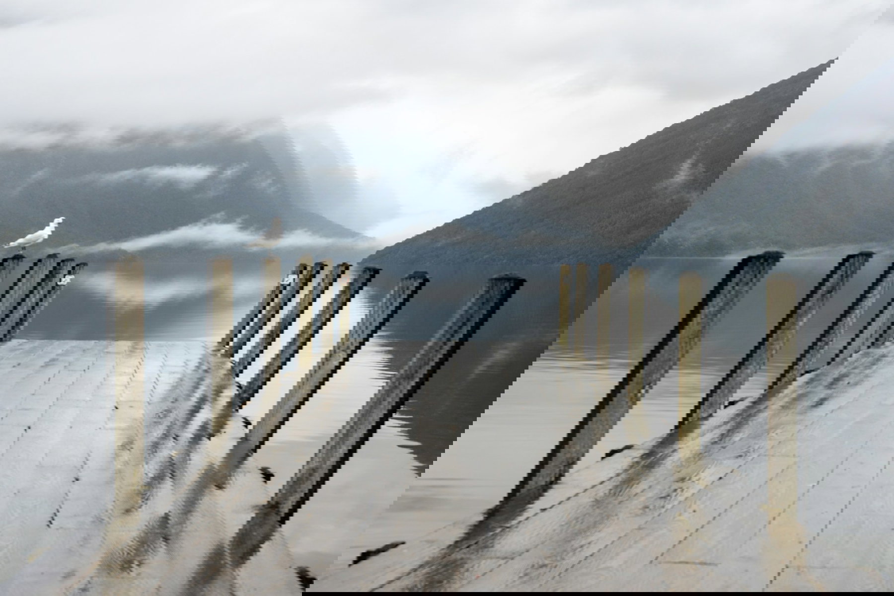 Nelson Lakes National Park