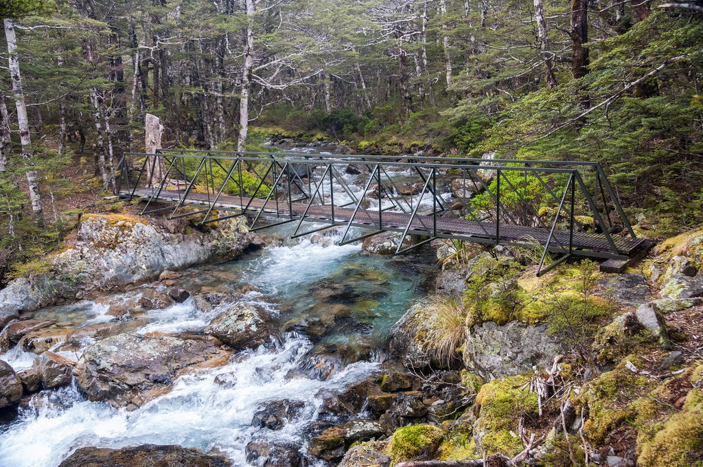 Nelson Lakes National Park 1