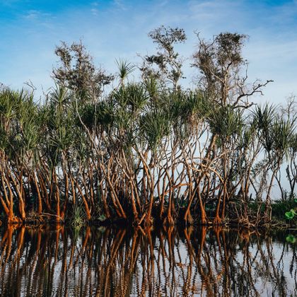 Le Parc National De Kakadu