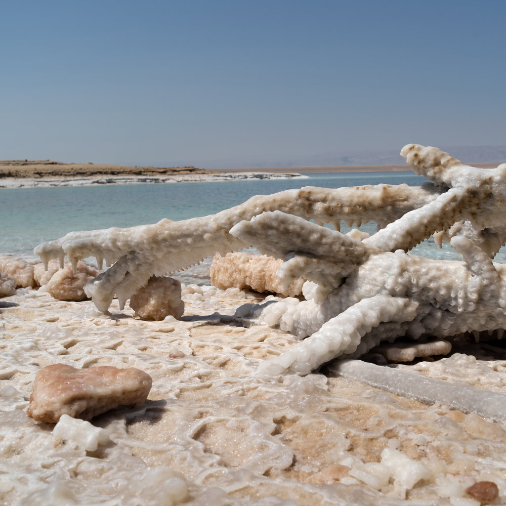 Dead Sea 1