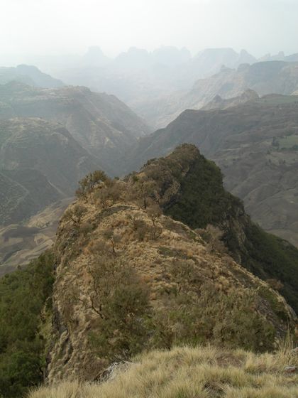 Simien Mountains Nationalpark