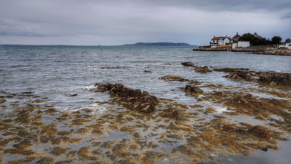 Christmas In Dublin 1