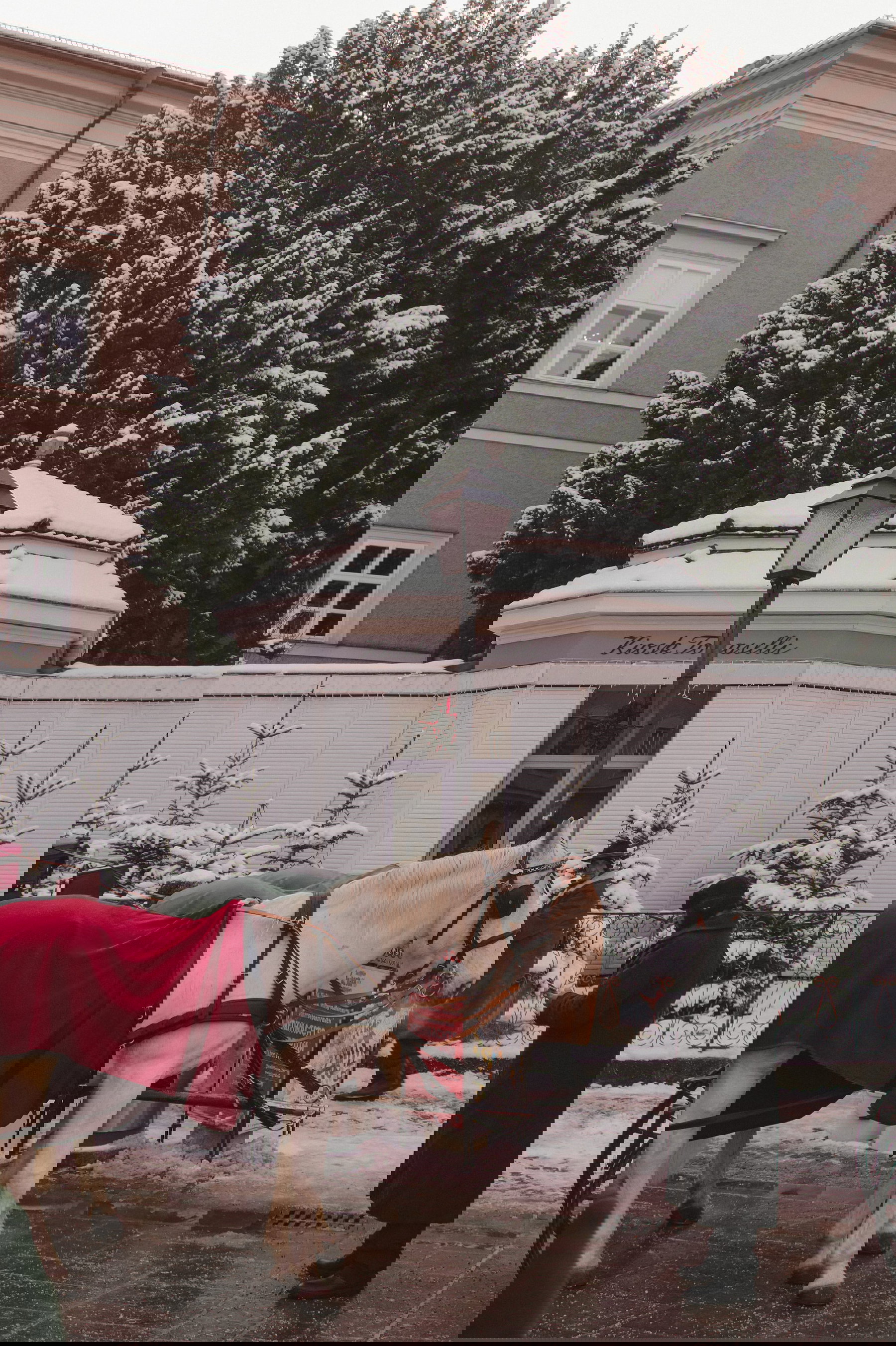 Weihnachten In Salzburg 