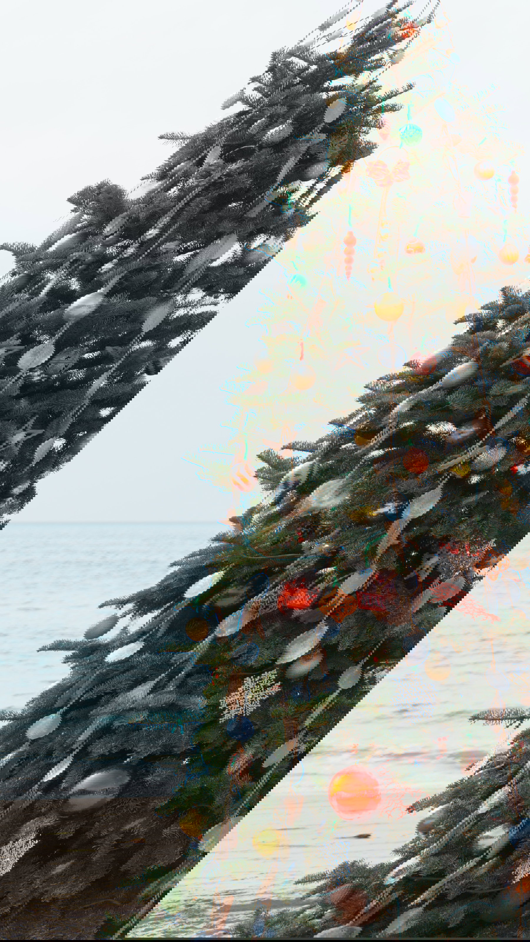 Christmas In Barbados