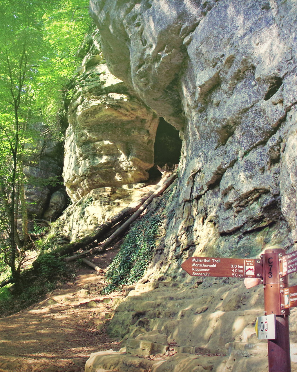 Kleine Luxemburger Schweiz 1