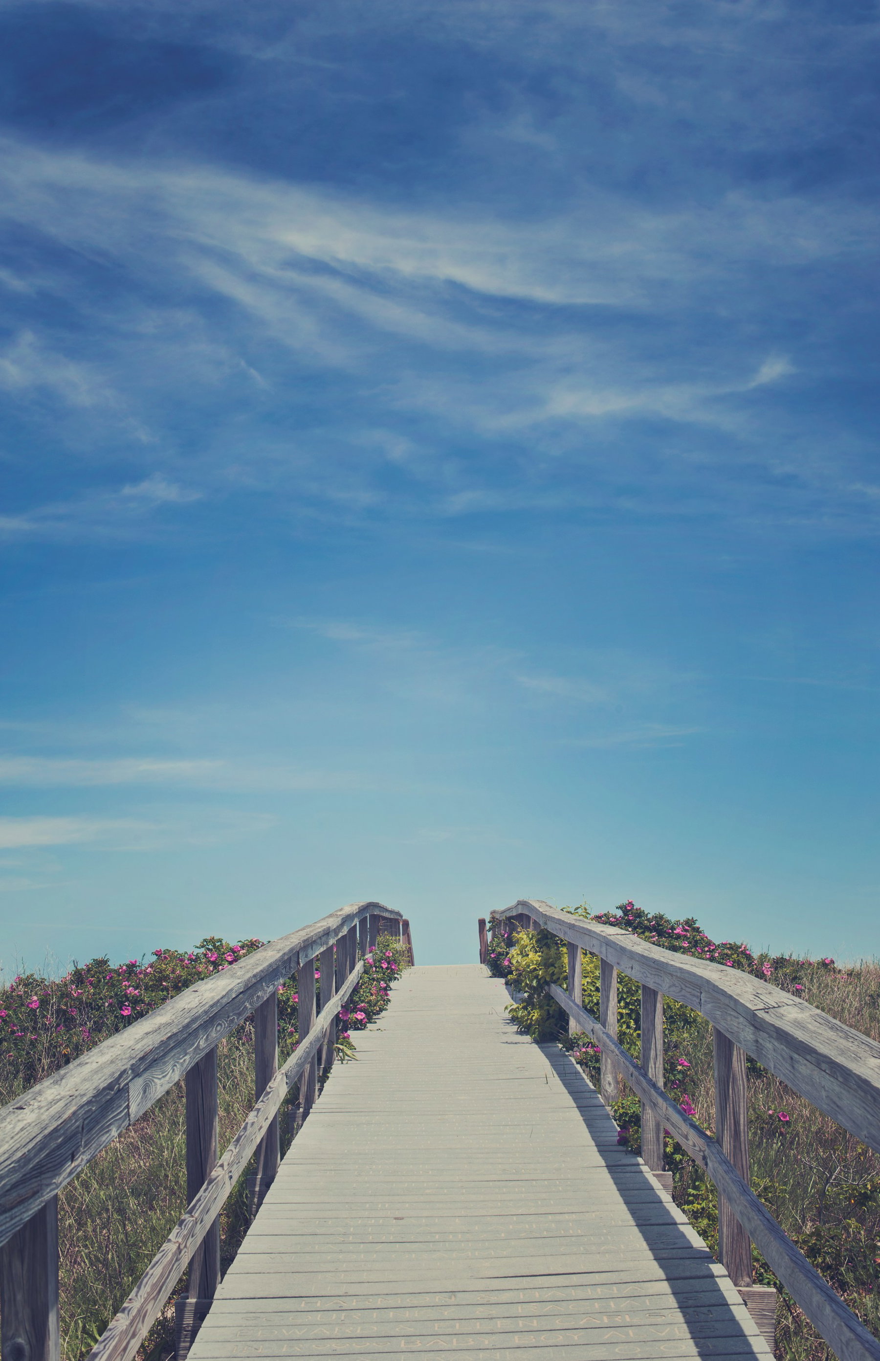 Cape Cod