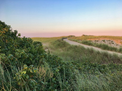 Cape Cod 2