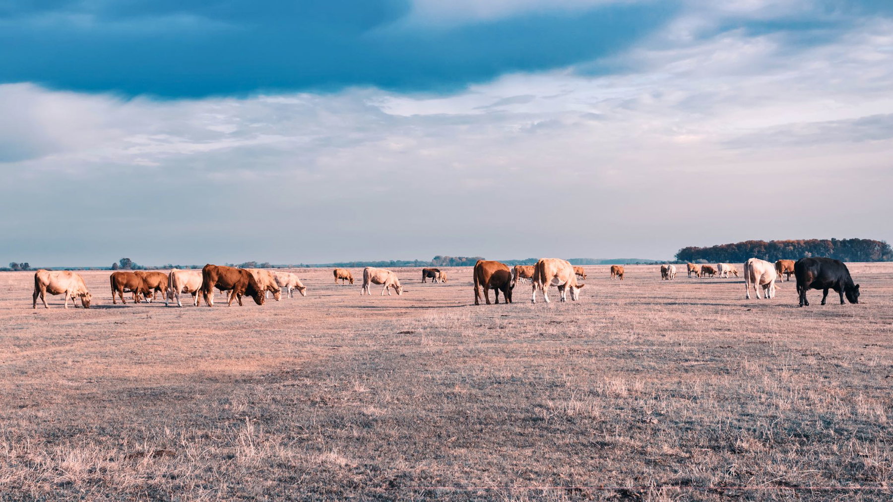 Hortobágy Nationalpark