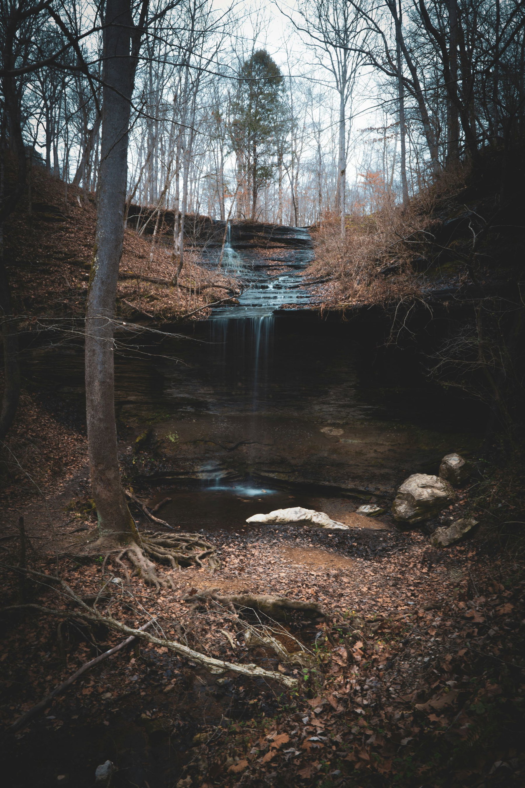 Natchez Trace Parkway