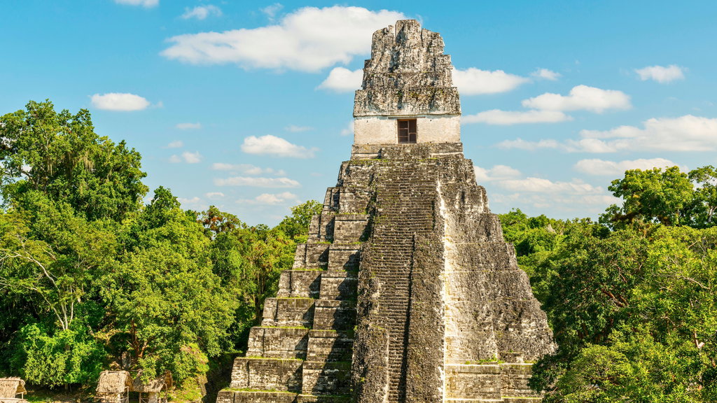Tikal National Park 1