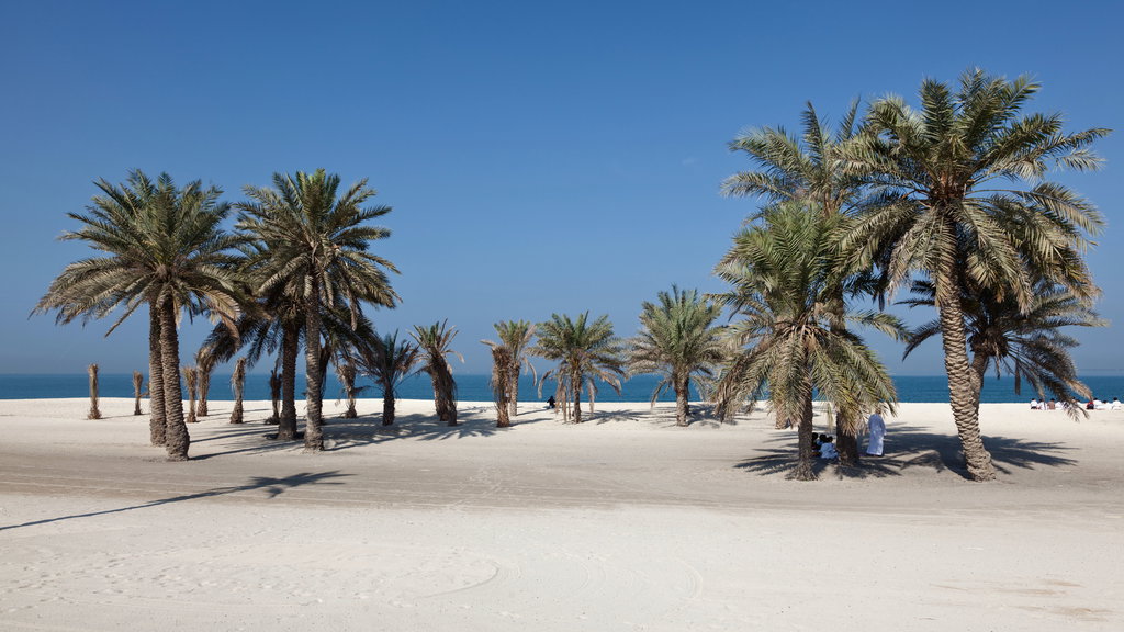 Umm Al Quwain 1