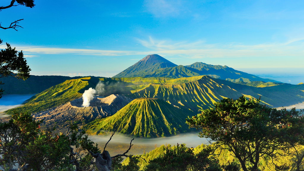 Bromo Tengger Semeru National Park 1