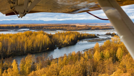 Denali National Park 5