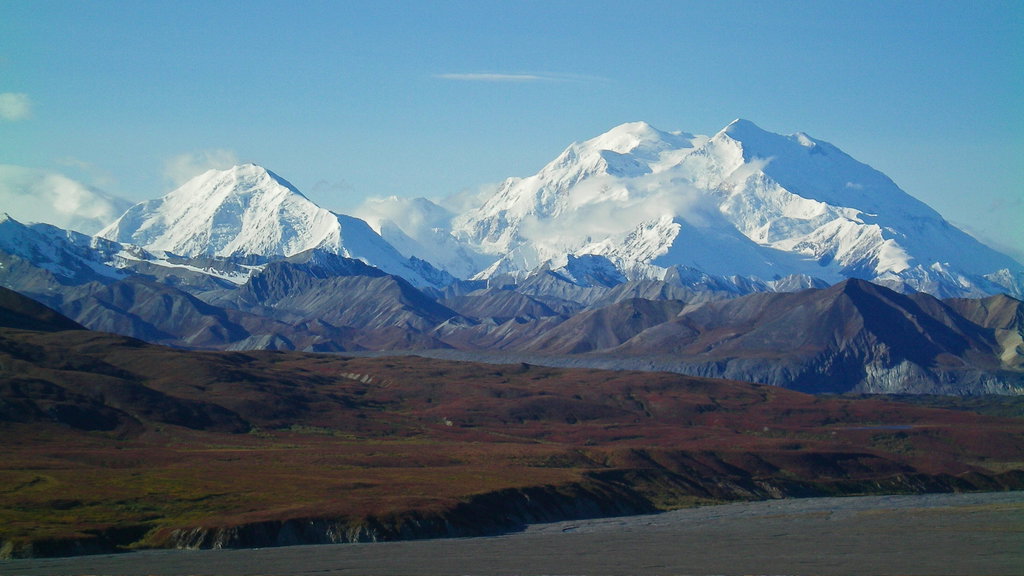 Denali National Park 1