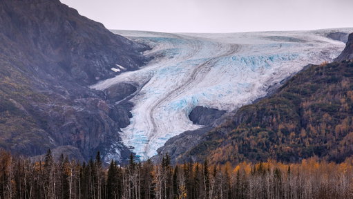 Denali National Park 4