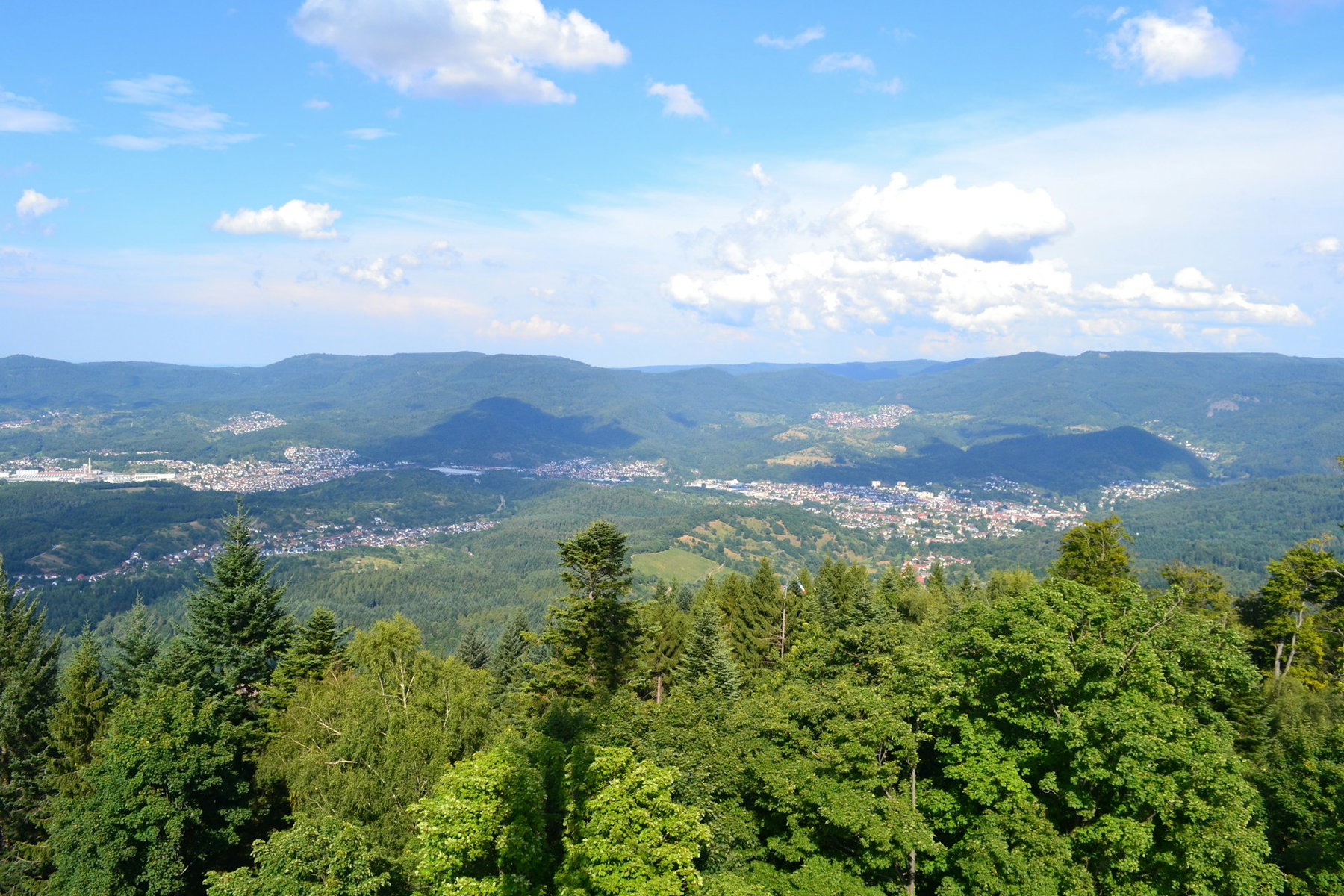 Black Forest High Road