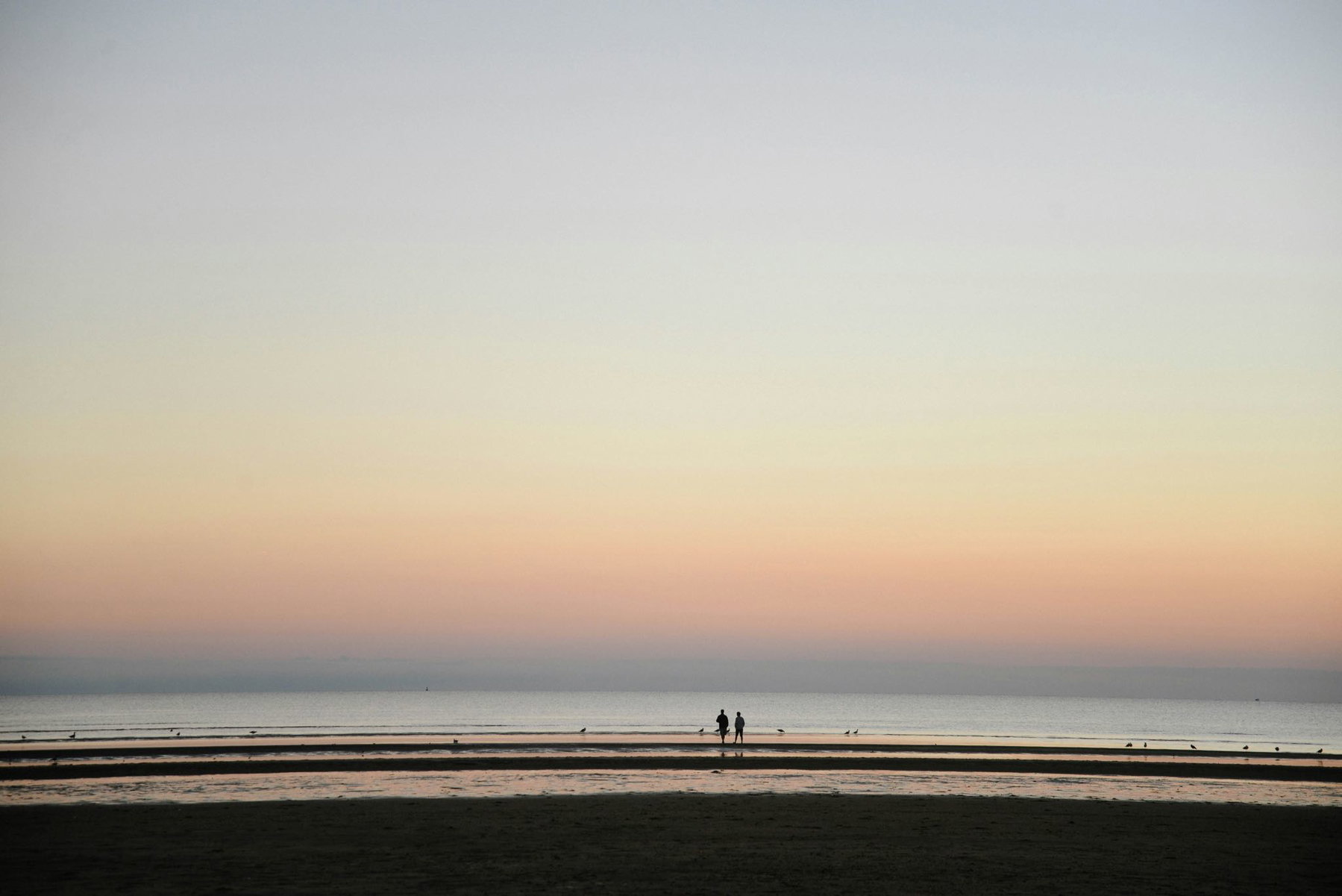 Route 6, Cape Cod