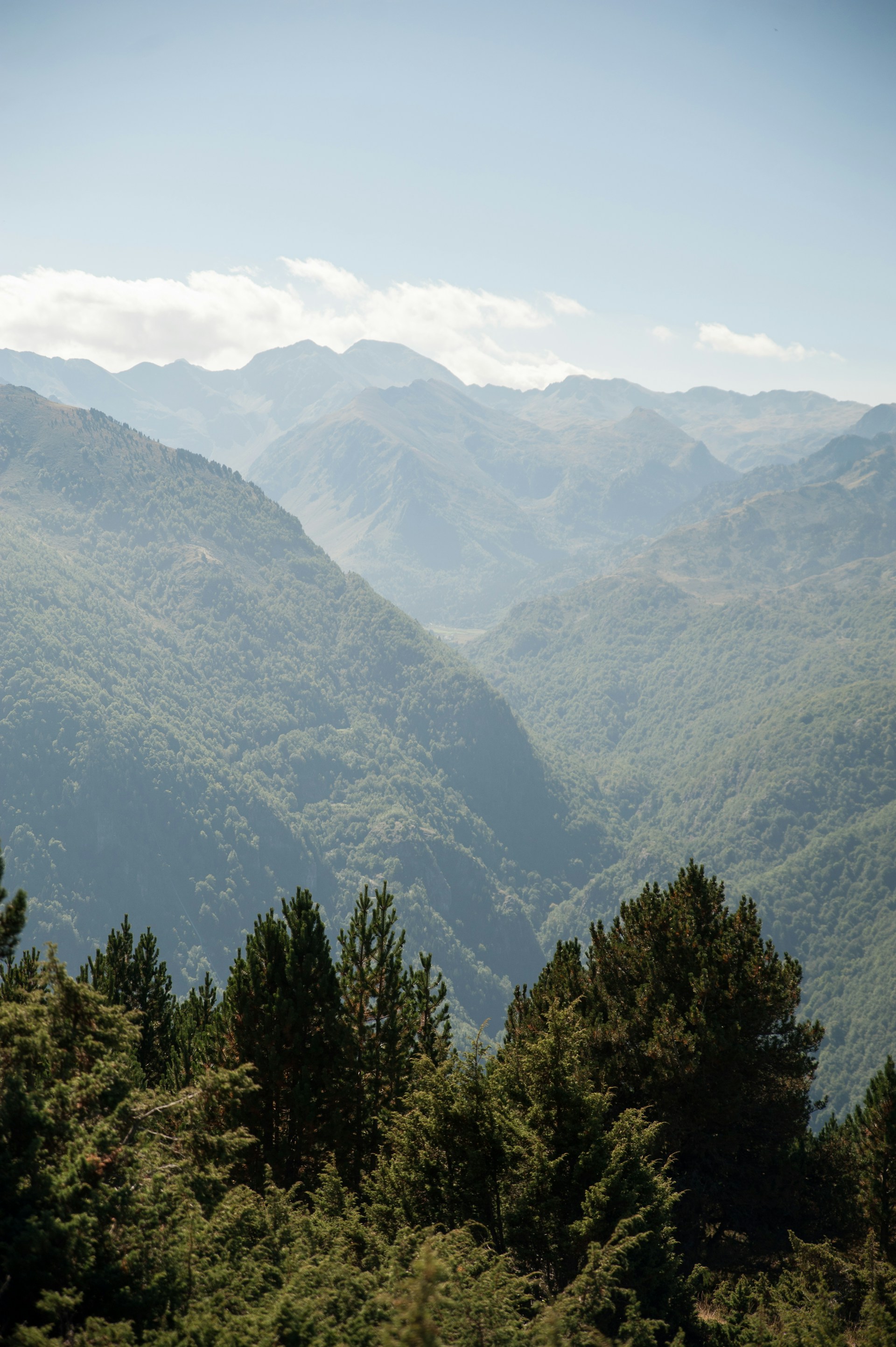 Pyrenees Crossing — Lambus