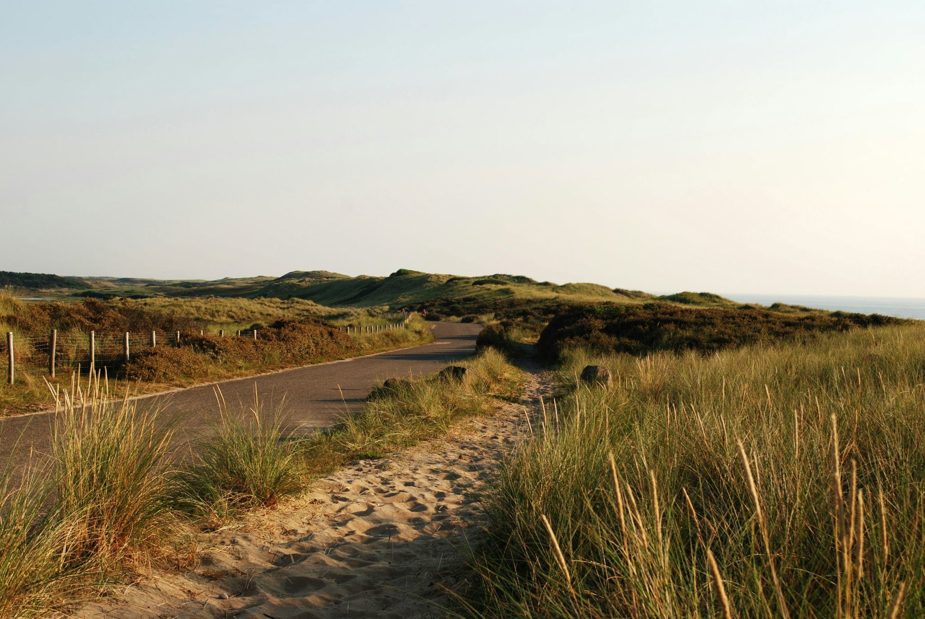 Texel Island 