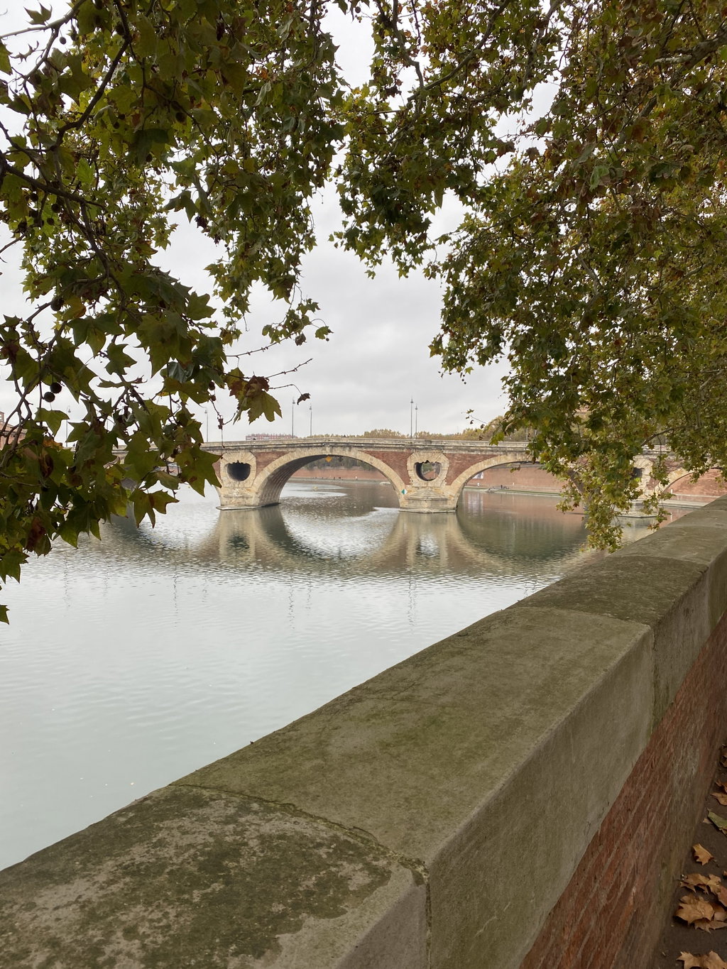 Christmas In Toulouse 1