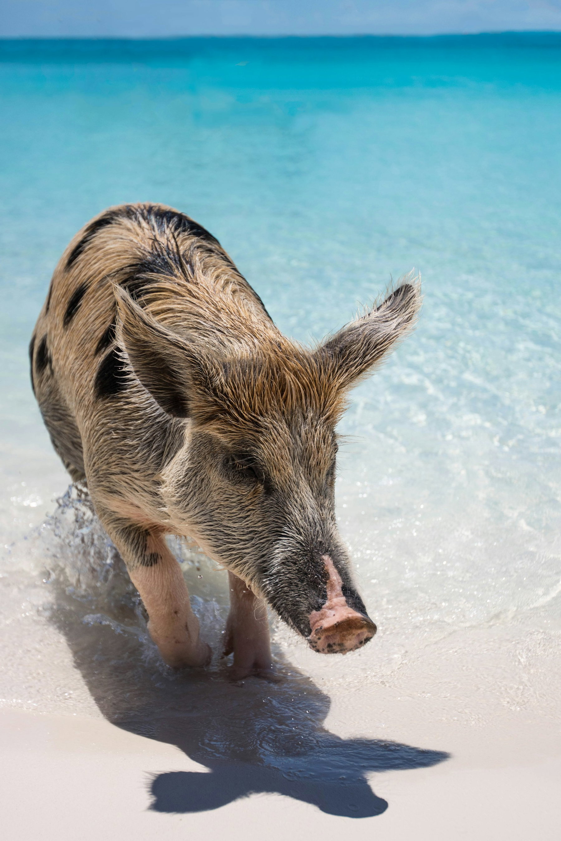 Exuma Cays