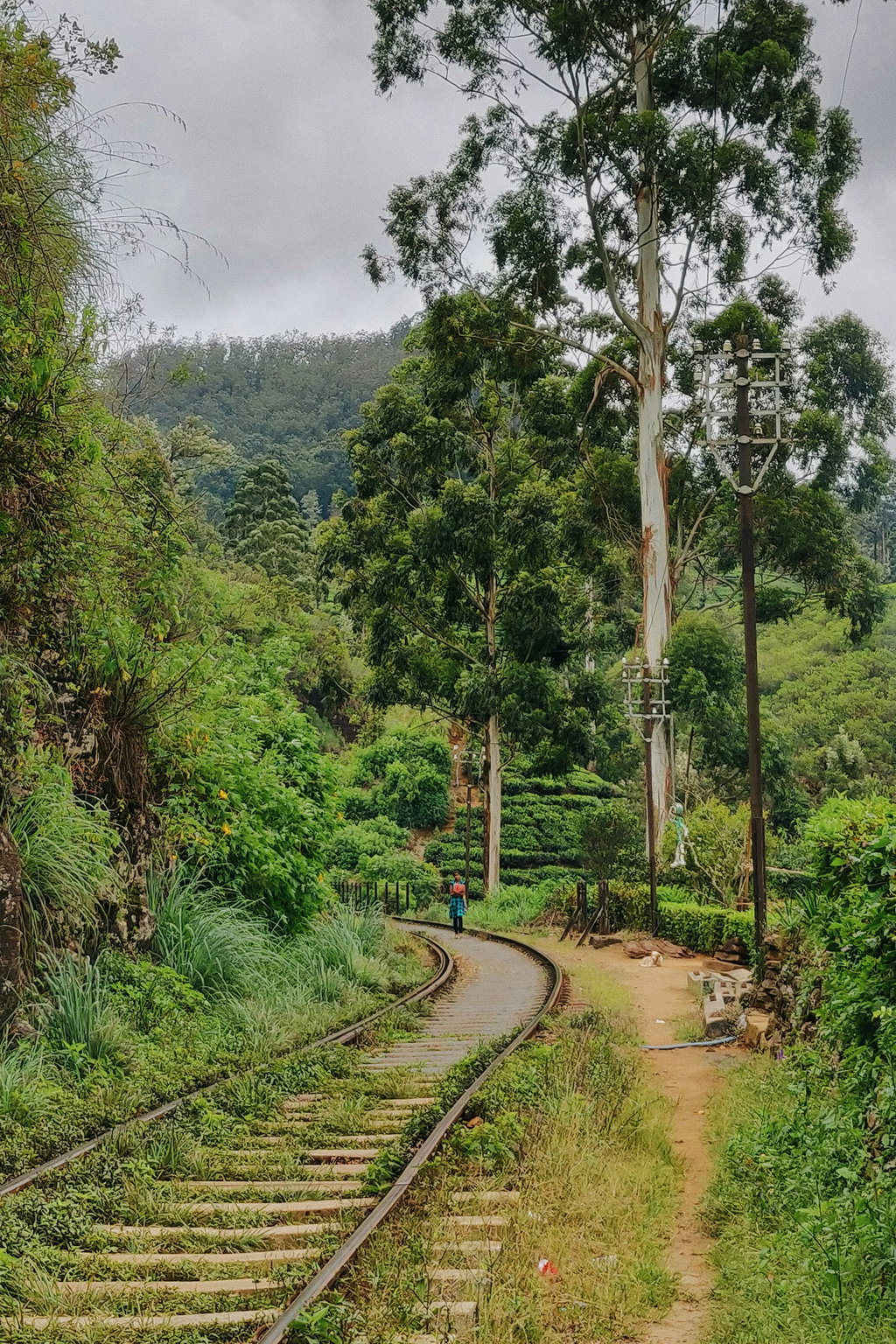 Adam's Peak (Sri Pada) 1