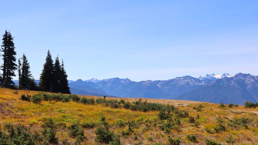 Highway 101, Washington 2