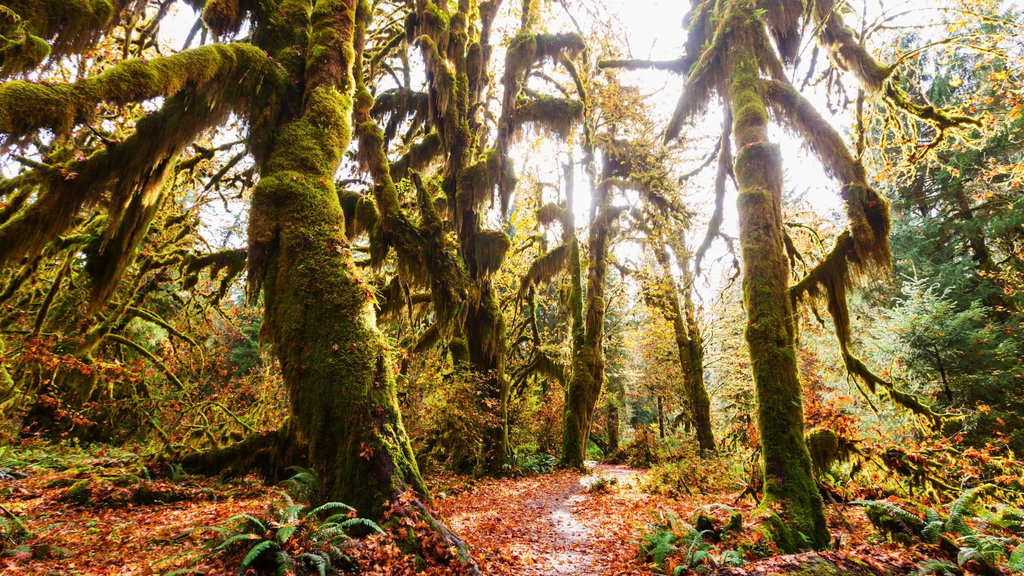 Highway 101, Washington 1