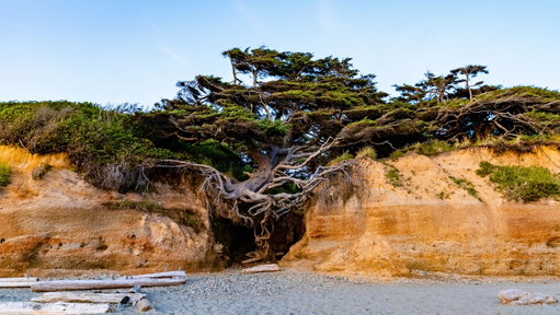 Highway 101, Washington 5