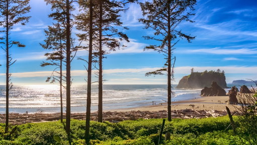 Highway 101, Washington 4