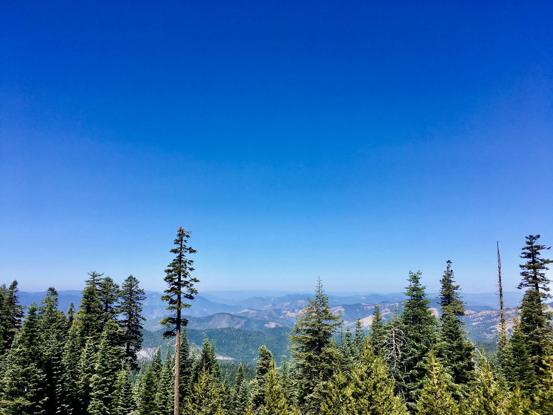 La Piste De L'Oregon
