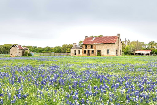 Texas Hill Country Bluebonnet Tour 3