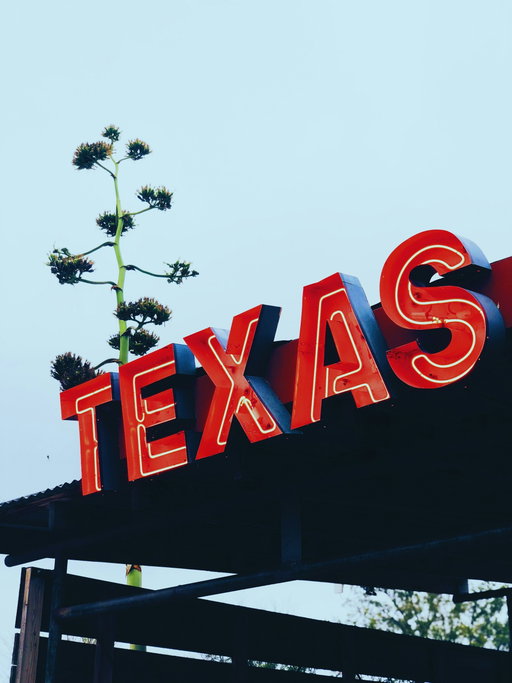 Texas Hill Country Bluebonnet Tour 4